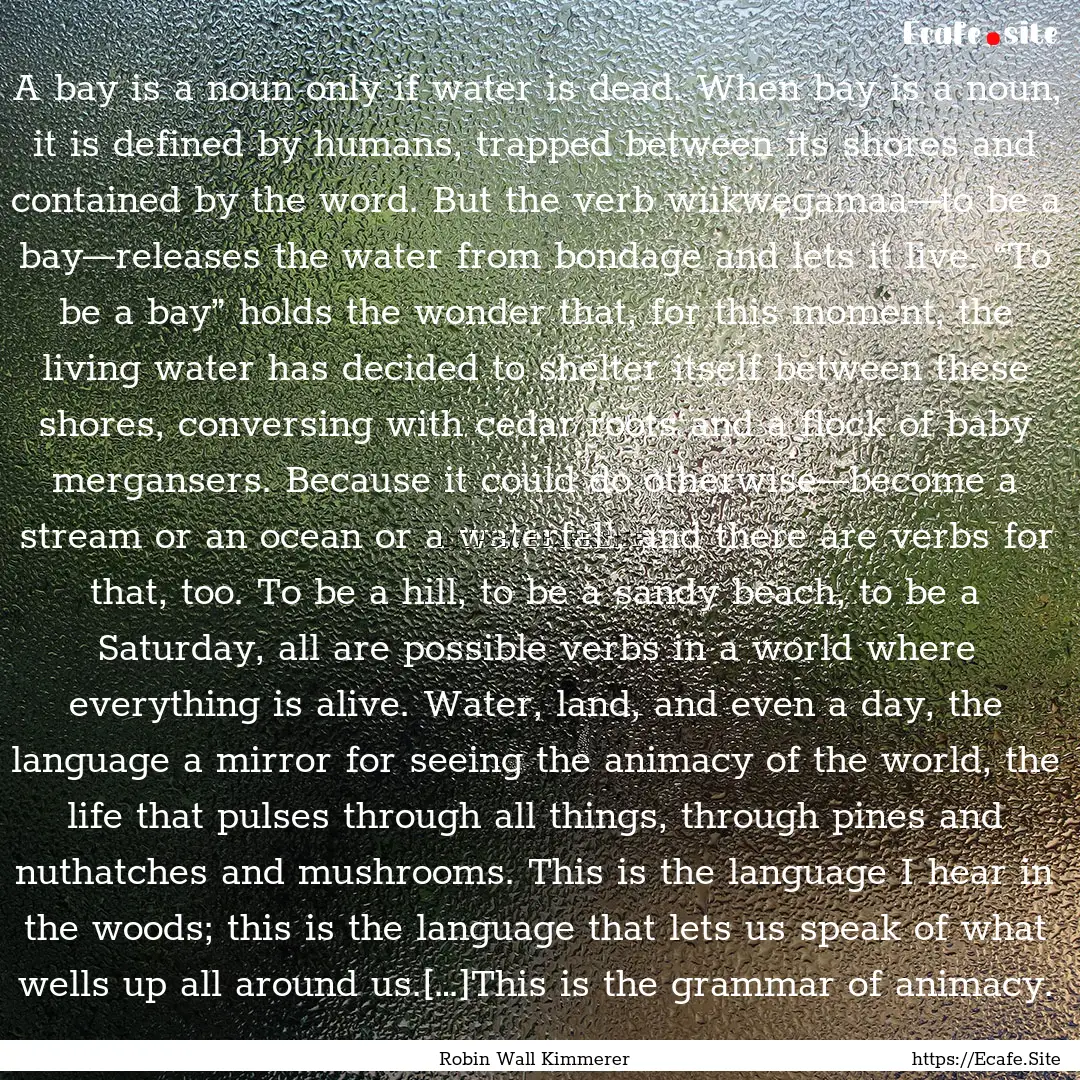 A bay is a noun only if water is dead. When.... : Quote by Robin Wall Kimmerer