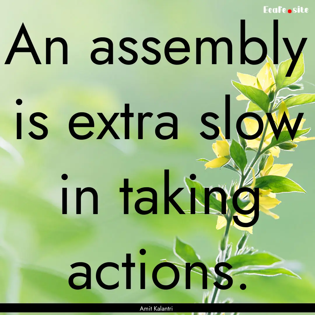 An assembly is extra slow in taking actions..... : Quote by Amit Kalantri