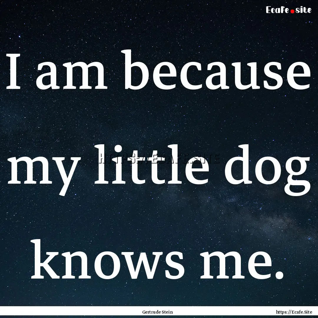 I am because my little dog knows me. : Quote by Gertrude Stein