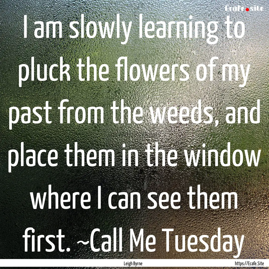 I am slowly learning to pluck the flowers.... : Quote by Leigh Byrne