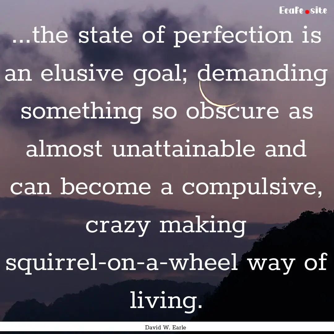 ...the state of perfection is an elusive.... : Quote by David W. Earle