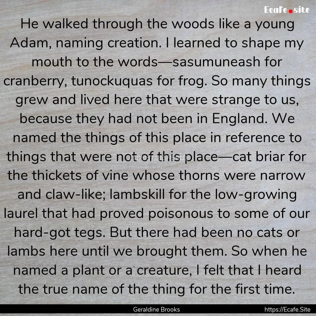 He walked through the woods like a young.... : Quote by Geraldine Brooks