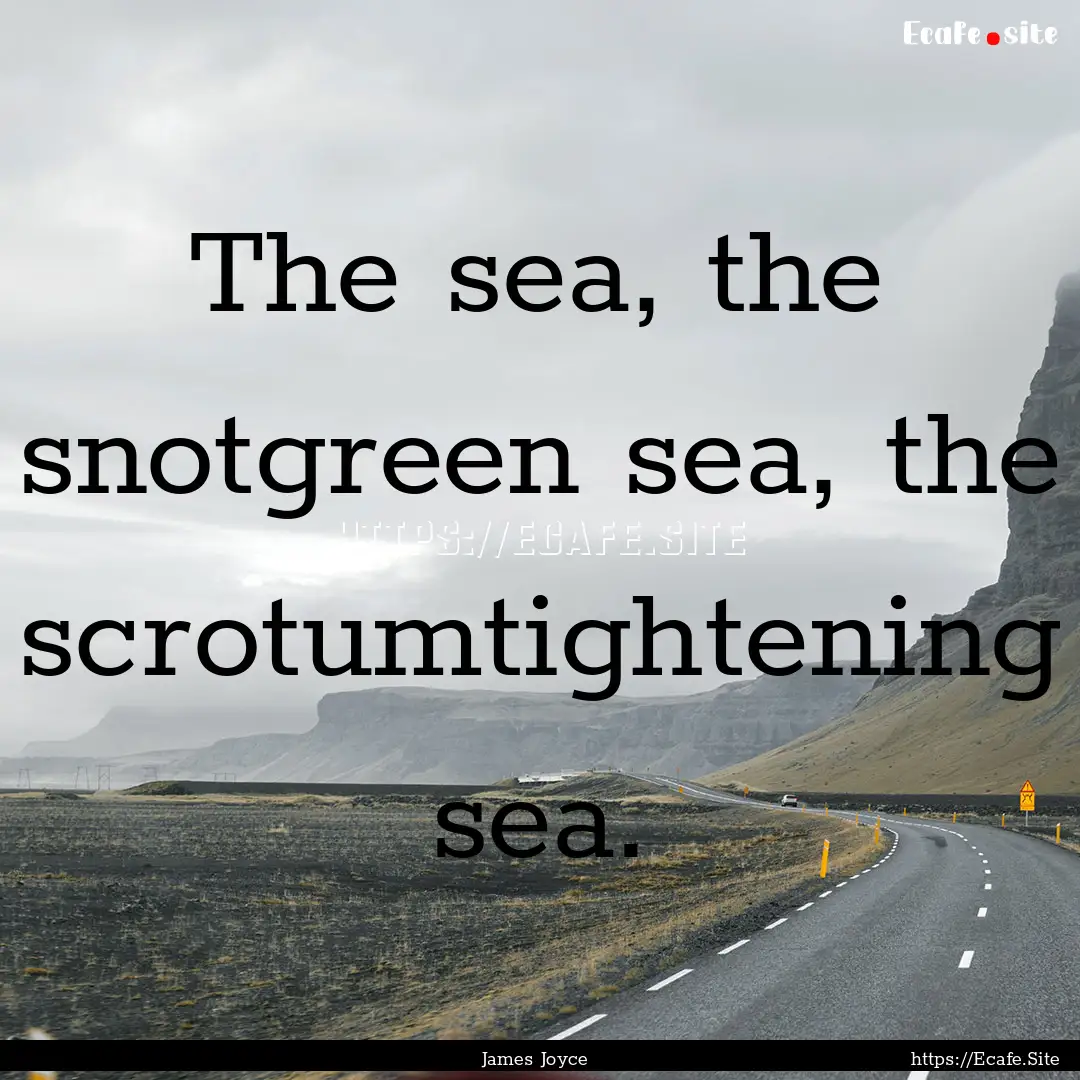 The sea, the snotgreen sea, the scrotumtightening.... : Quote by James Joyce