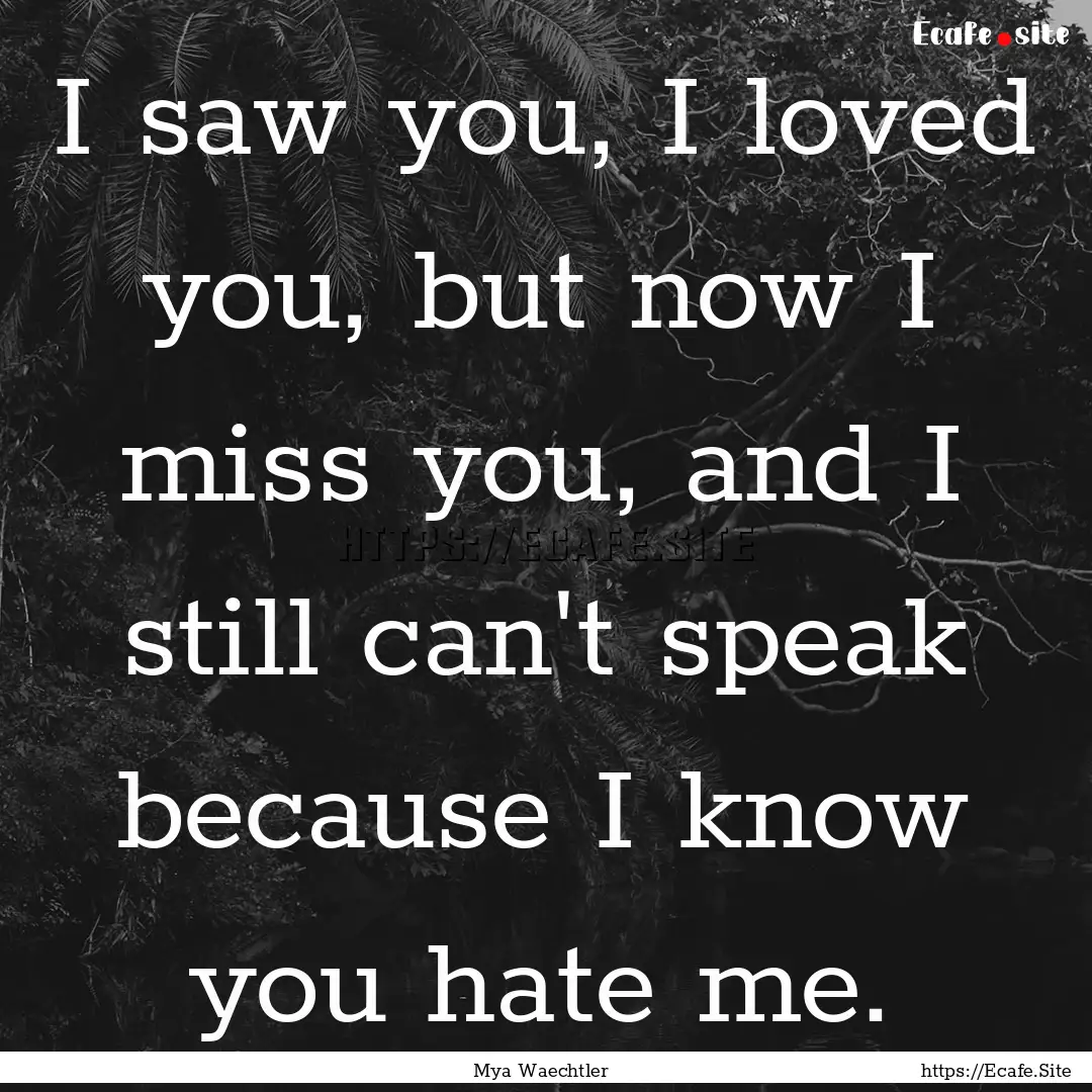 I saw you, I loved you, but now I miss you,.... : Quote by Mya Waechtler