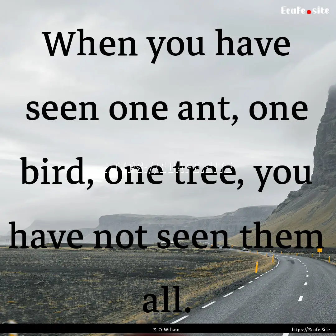 When you have seen one ant, one bird, one.... : Quote by E. O. Wilson