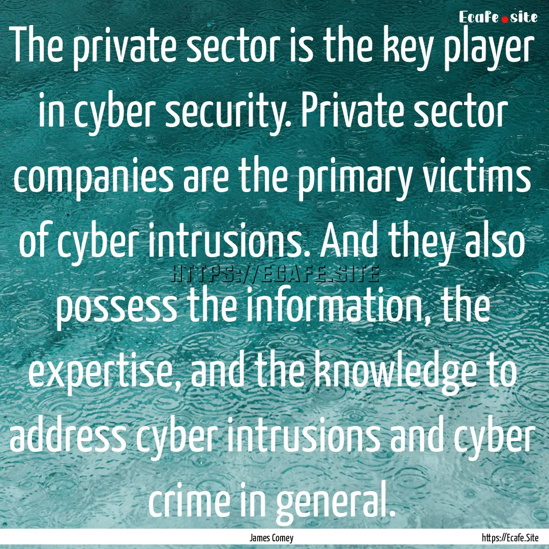 The private sector is the key player in cyber.... : Quote by James Comey