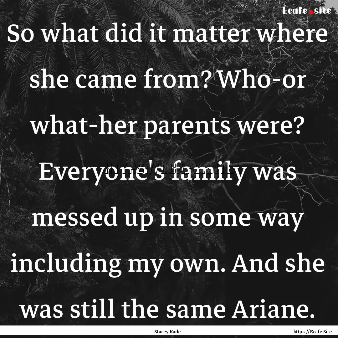 So what did it matter where she came from?.... : Quote by Stacey Kade