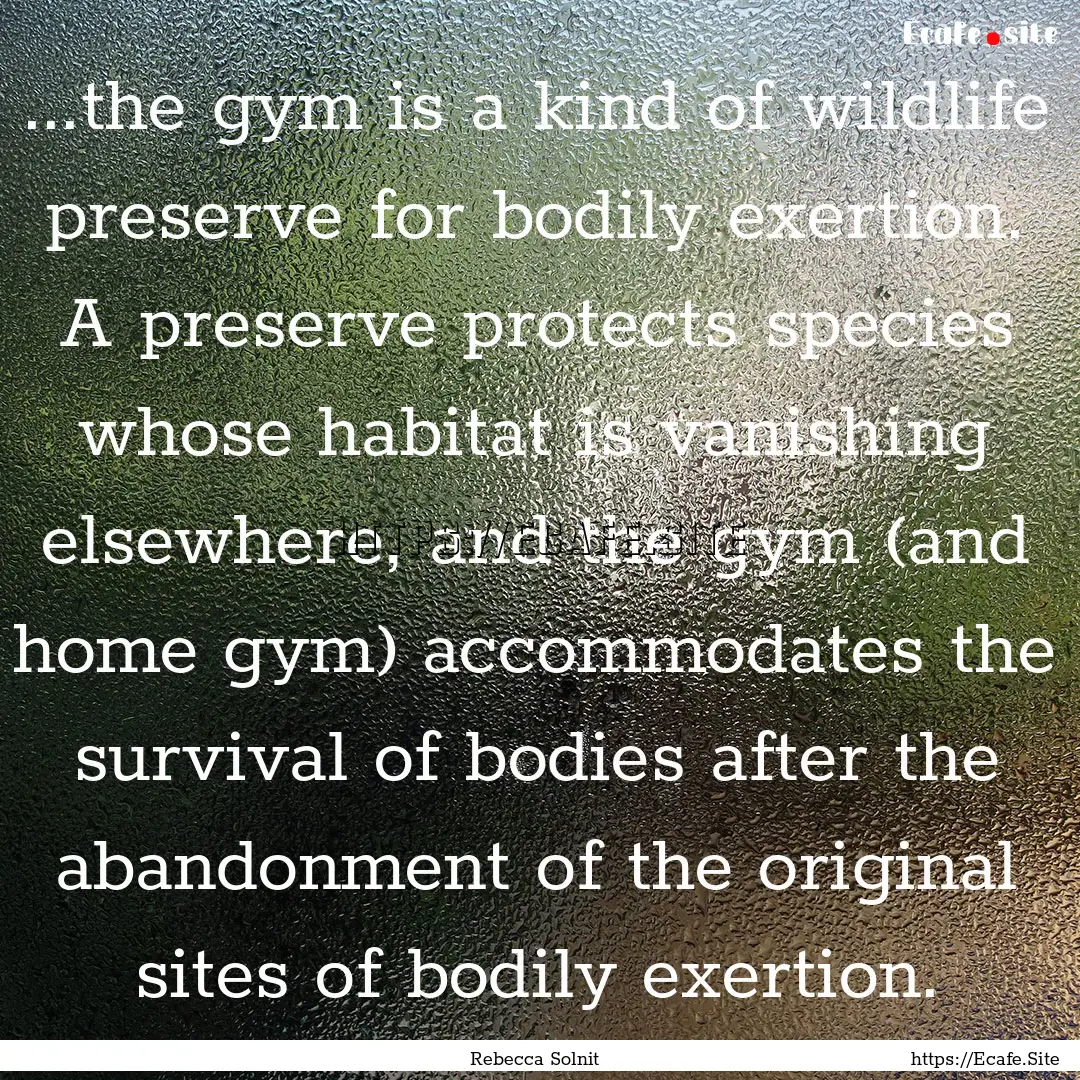 ...the gym is a kind of wildlife preserve.... : Quote by Rebecca Solnit