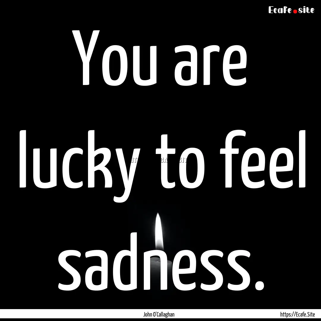 You are lucky to feel sadness. : Quote by John O'Callaghan