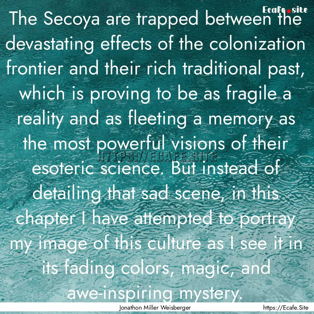 The Secoya are trapped between the devastating.... : Quote by Jonathon Miller Weisberger