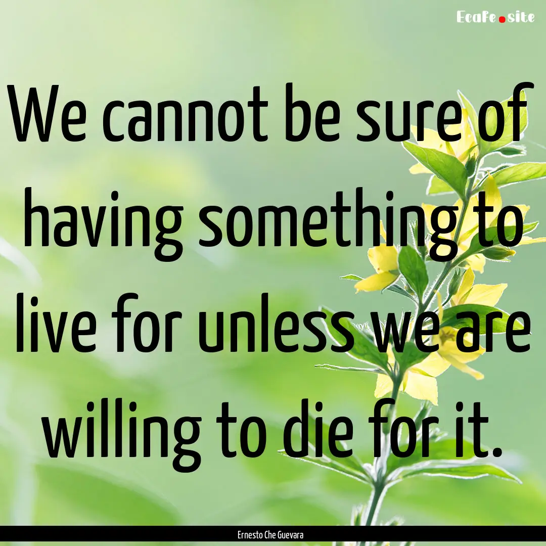 We cannot be sure of having something to.... : Quote by Ernesto Che Guevara