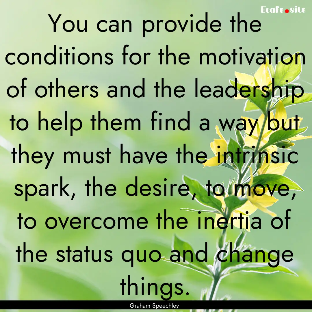 You can provide the conditions for the motivation.... : Quote by Graham Speechley