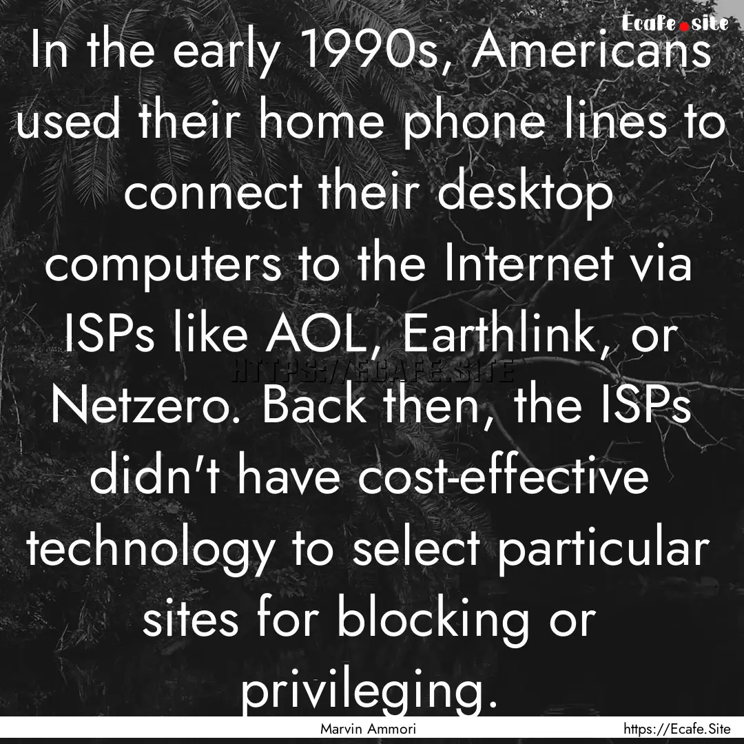 In the early 1990s, Americans used their.... : Quote by Marvin Ammori