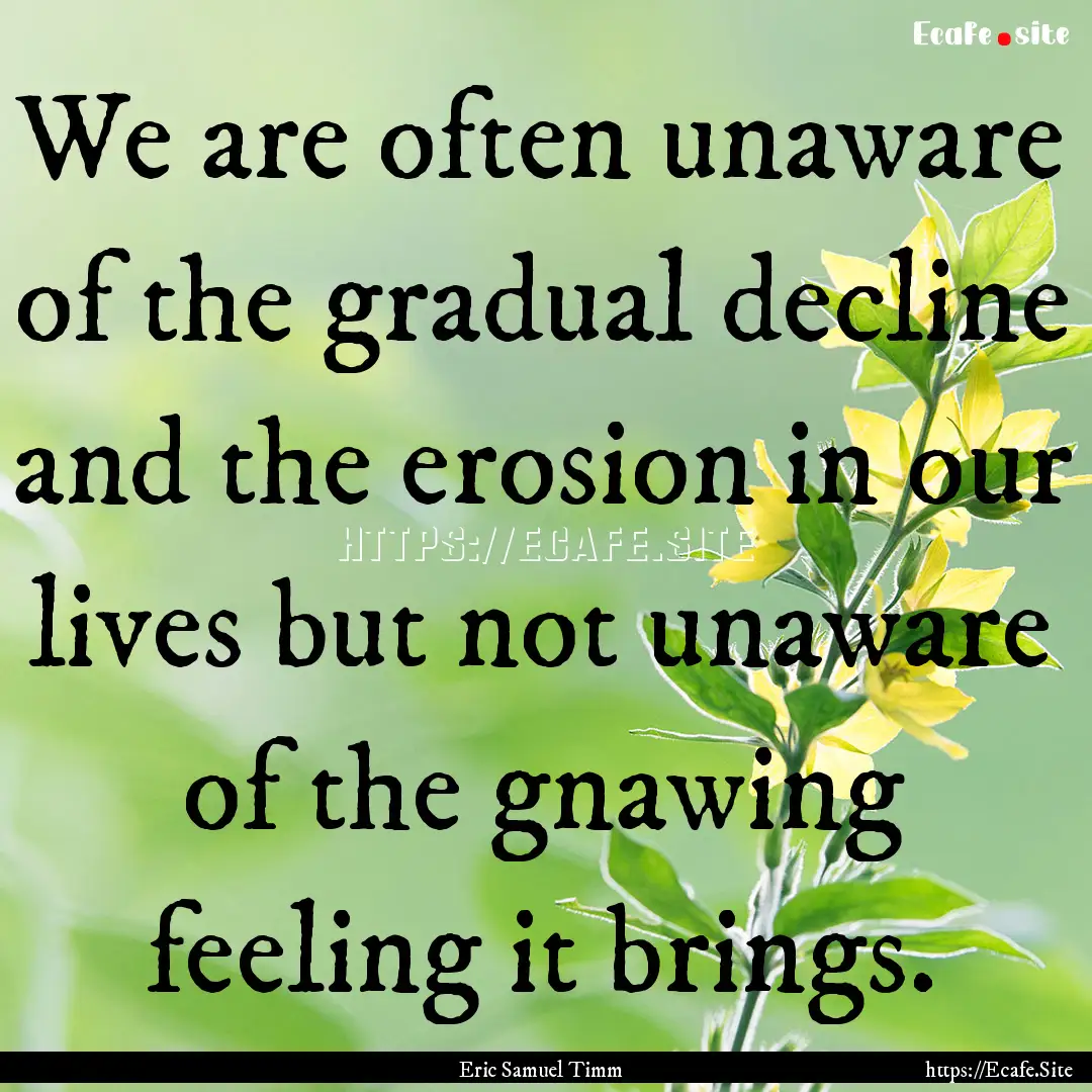 We are often unaware of the gradual decline.... : Quote by Eric Samuel Timm