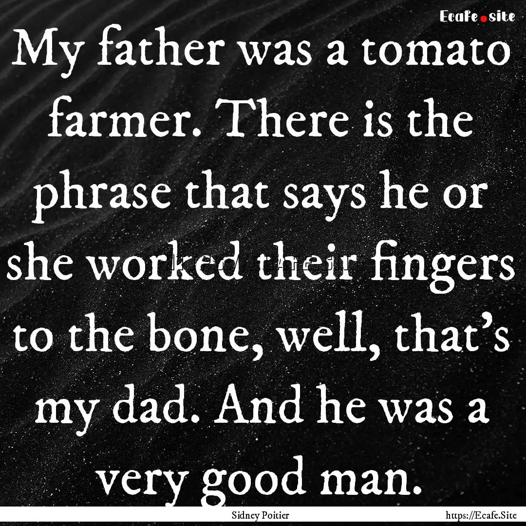 My father was a tomato farmer. There is the.... : Quote by Sidney Poitier