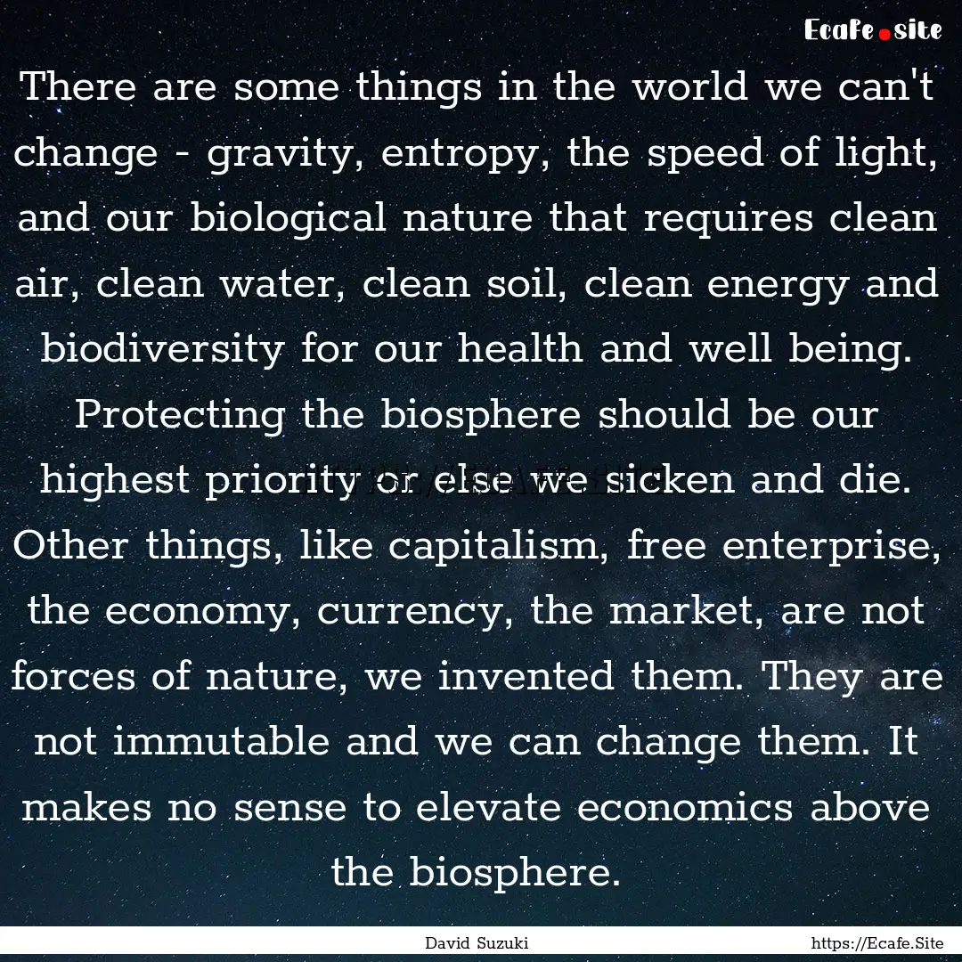 There are some things in the world we can't.... : Quote by David Suzuki