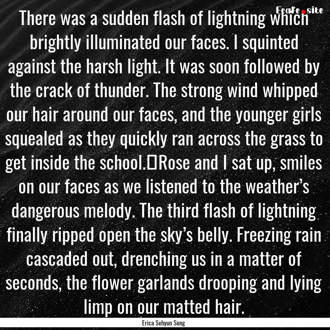 There was a sudden flash of lightning which.... : Quote by Erica Sehyun Song