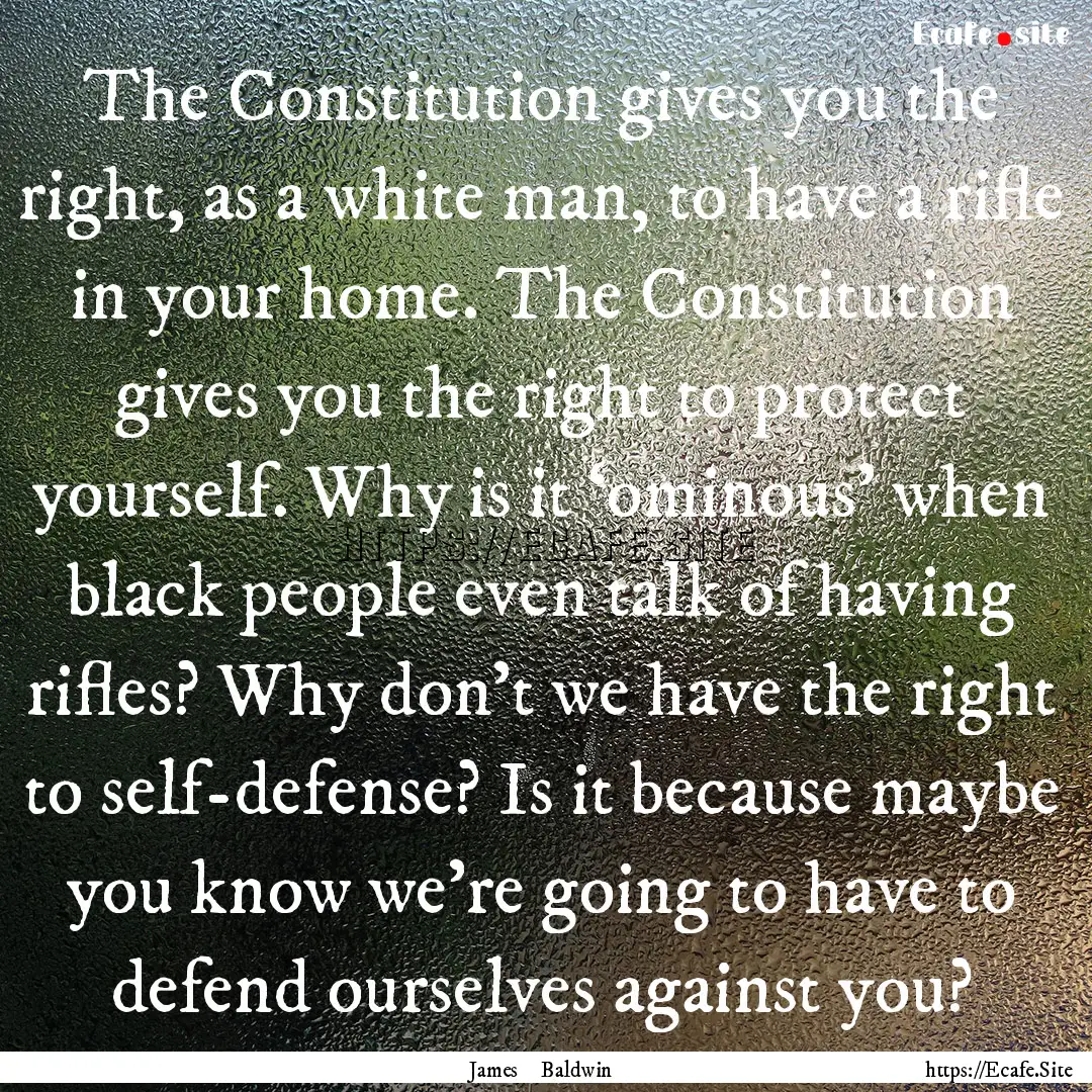 The Constitution gives you the right, as.... : Quote by James Baldwin