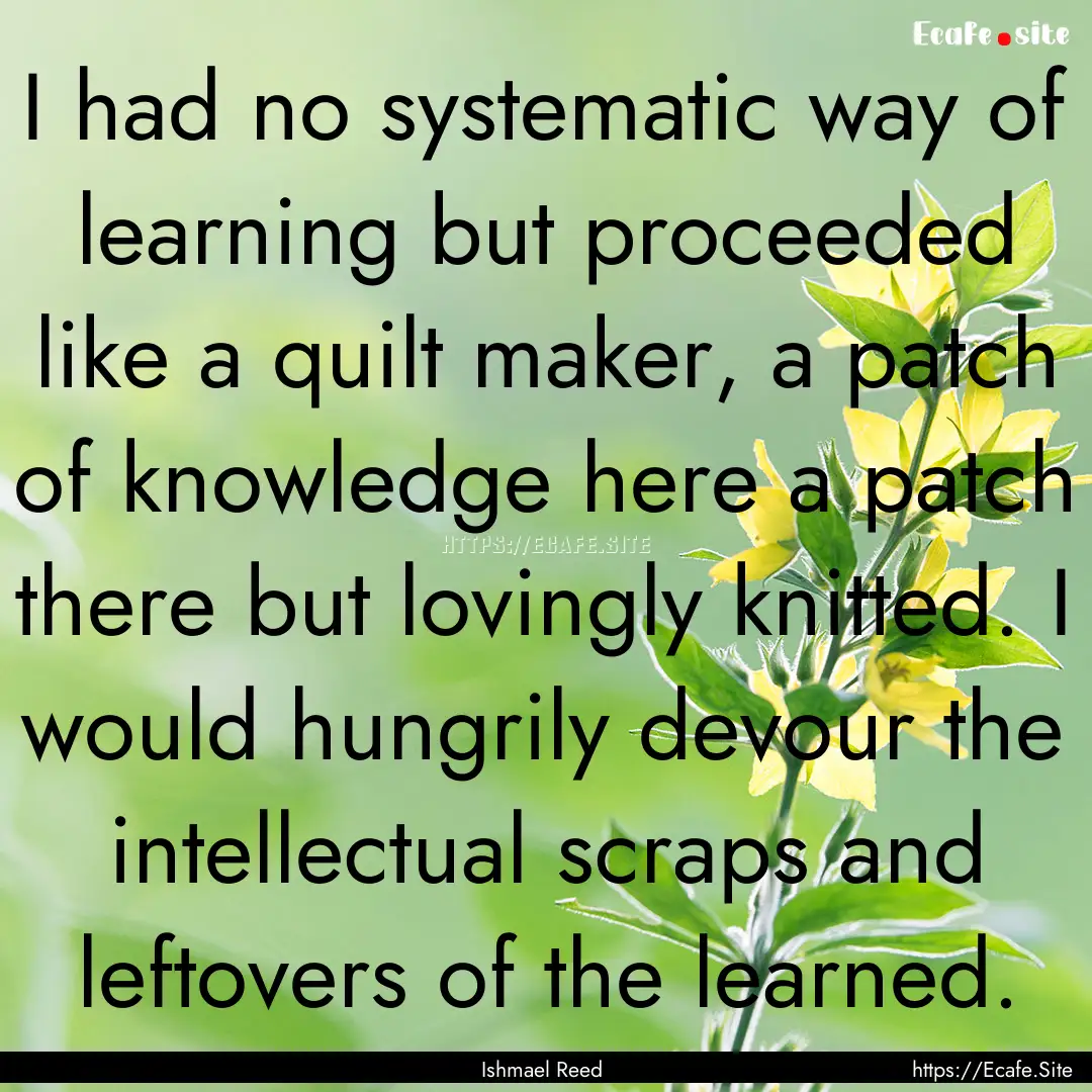 I had no systematic way of learning but proceeded.... : Quote by Ishmael Reed