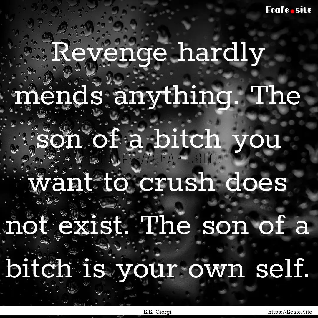 Revenge hardly mends anything. The son of.... : Quote by E.E. Giorgi