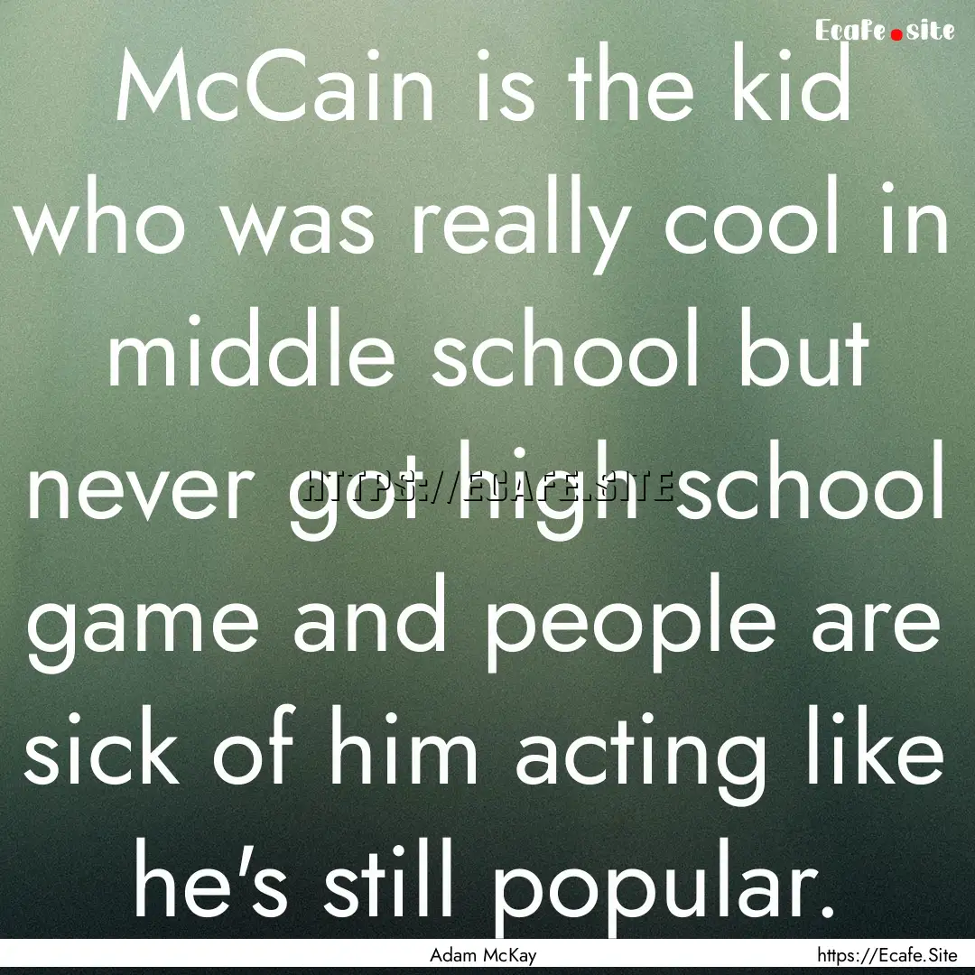 McCain is the kid who was really cool in.... : Quote by Adam McKay