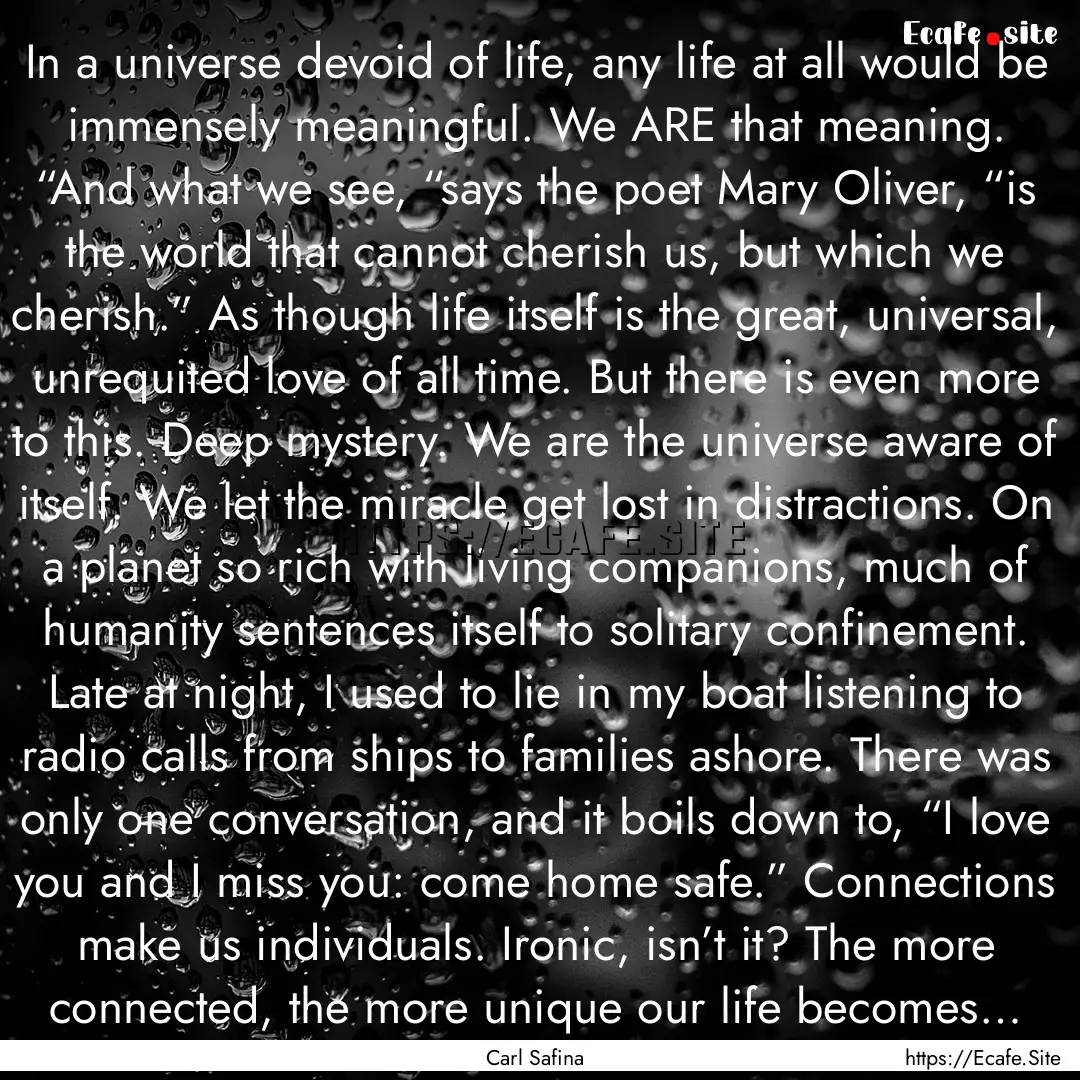 In a universe devoid of life, any life at.... : Quote by Carl Safina