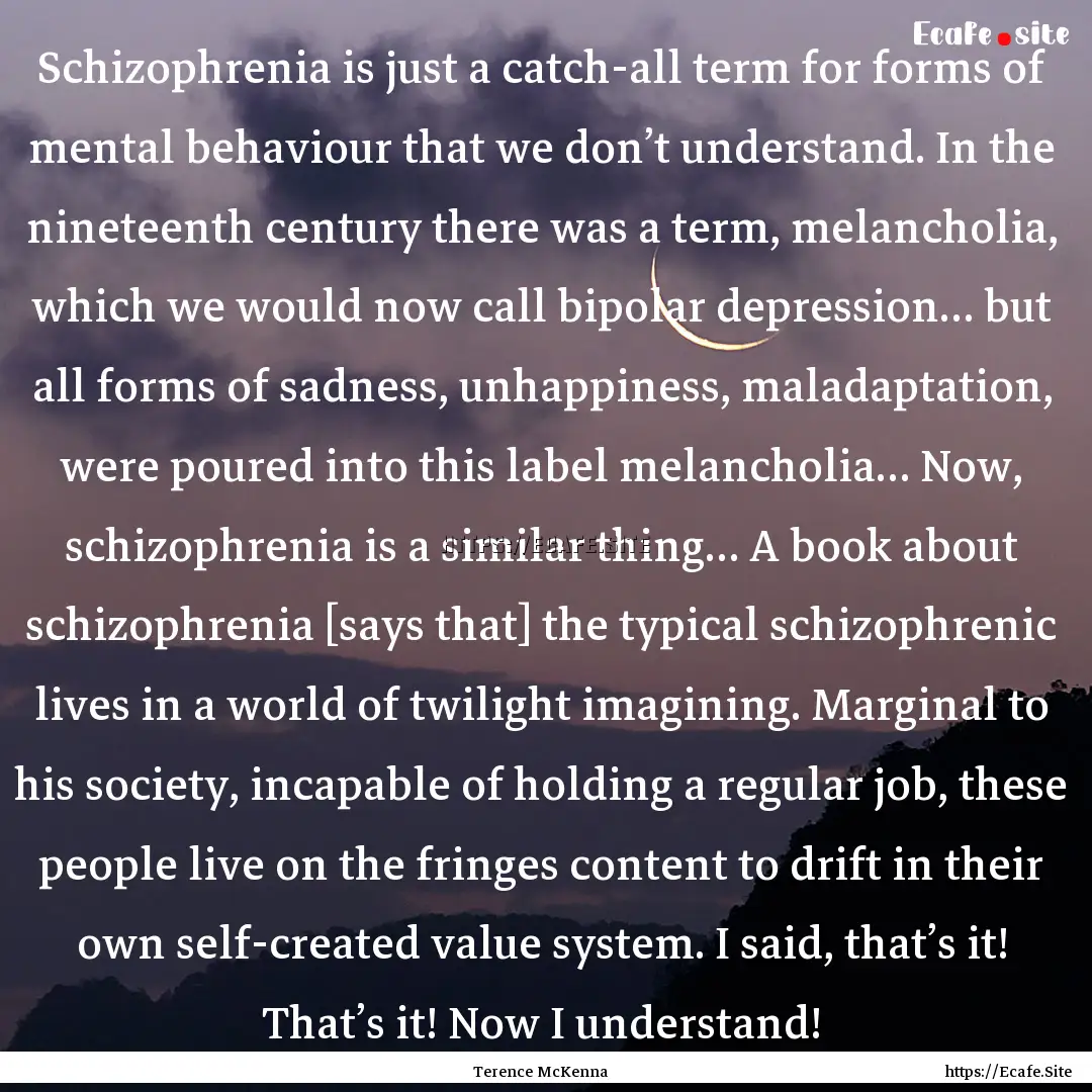 Schizophrenia is just a catch-all term for.... : Quote by Terence McKenna