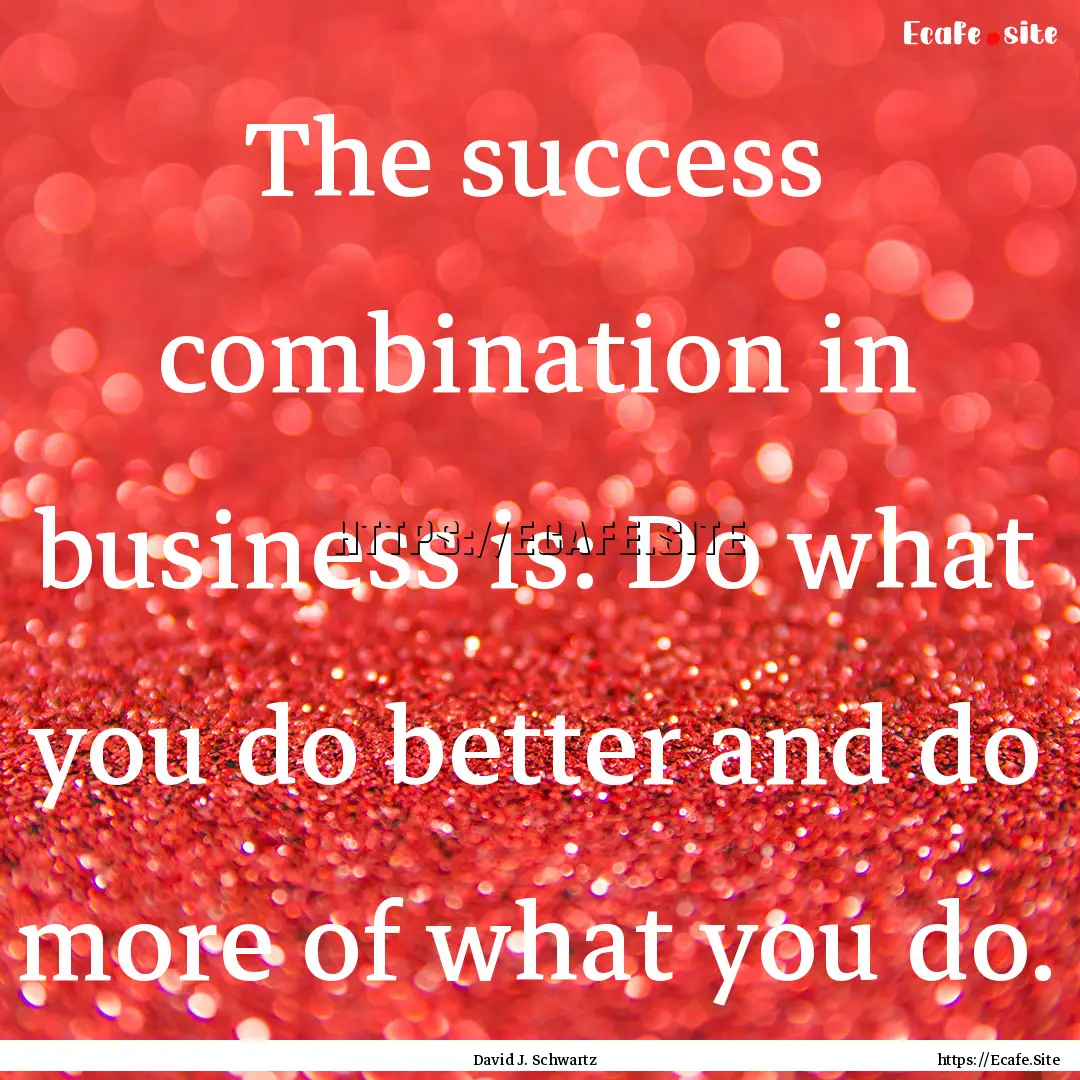 The success combination in business is: Do.... : Quote by David J. Schwartz