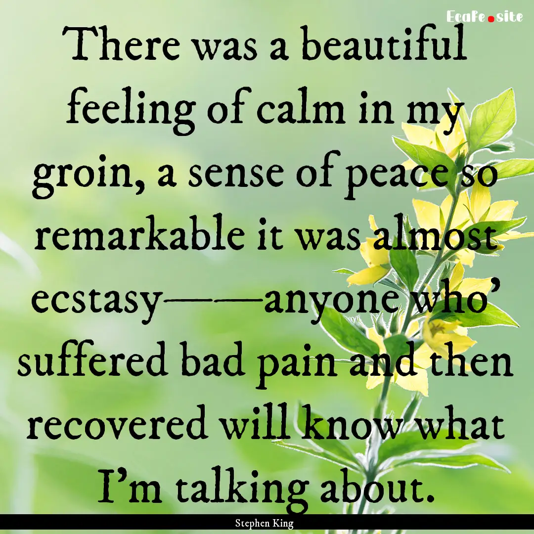 There was a beautiful feeling of calm in.... : Quote by Stephen King