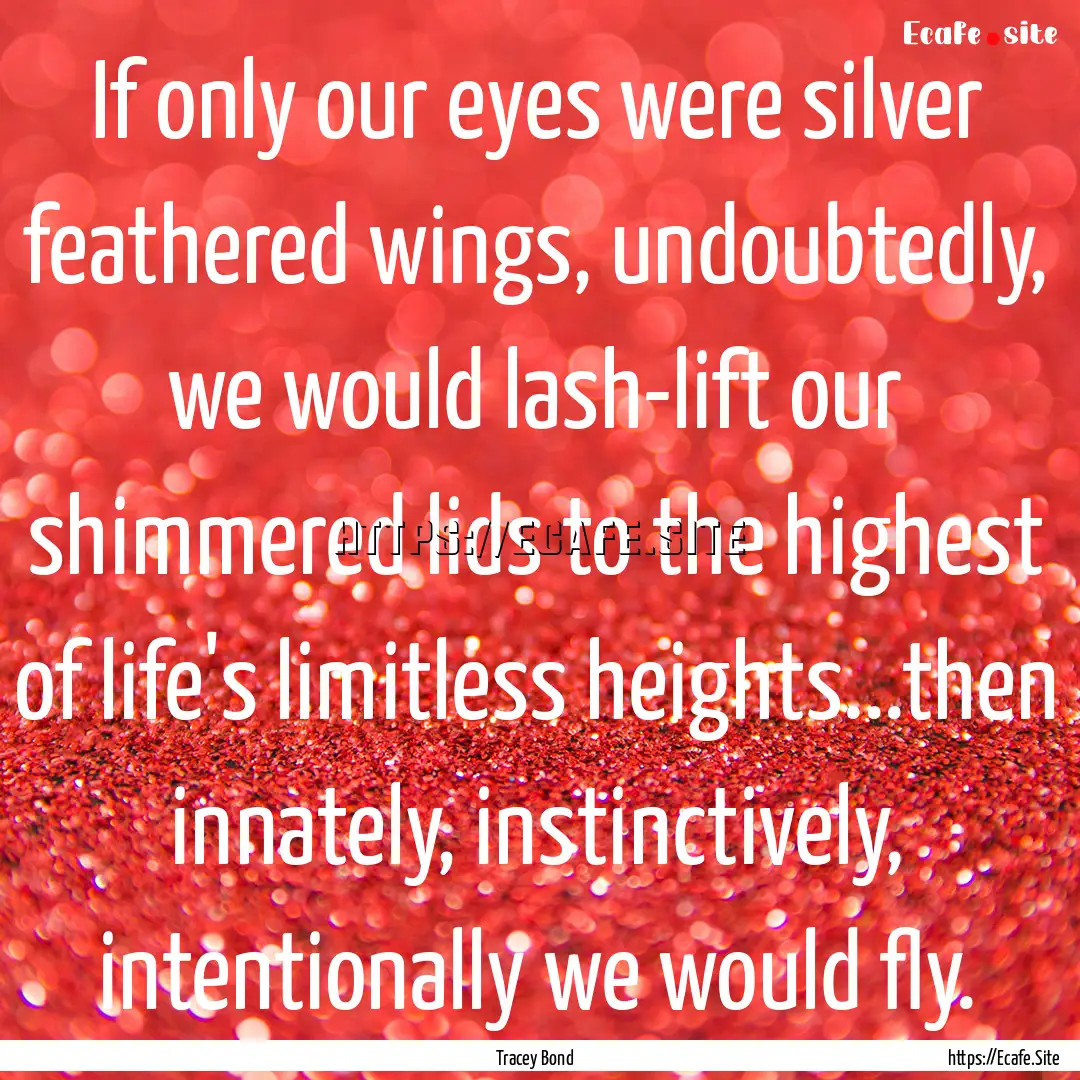 If only our eyes were silver feathered wings,.... : Quote by Tracey Bond