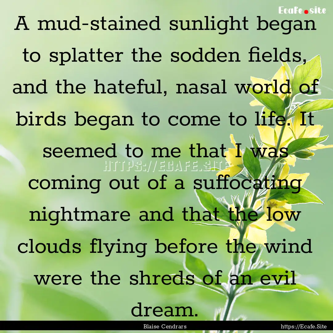 A mud-stained sunlight began to splatter.... : Quote by Blaise Cendrars