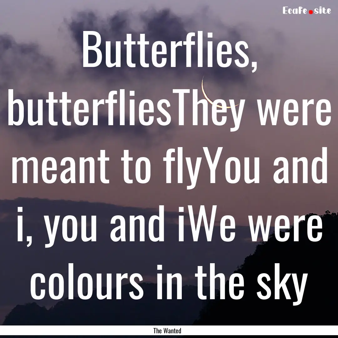 Butterflies, butterfliesThey were meant to.... : Quote by The Wanted