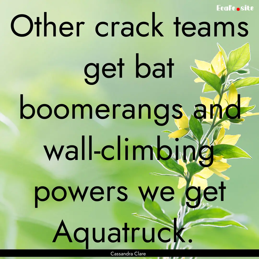 Other crack teams get bat boomerangs and.... : Quote by Cassandra Clare