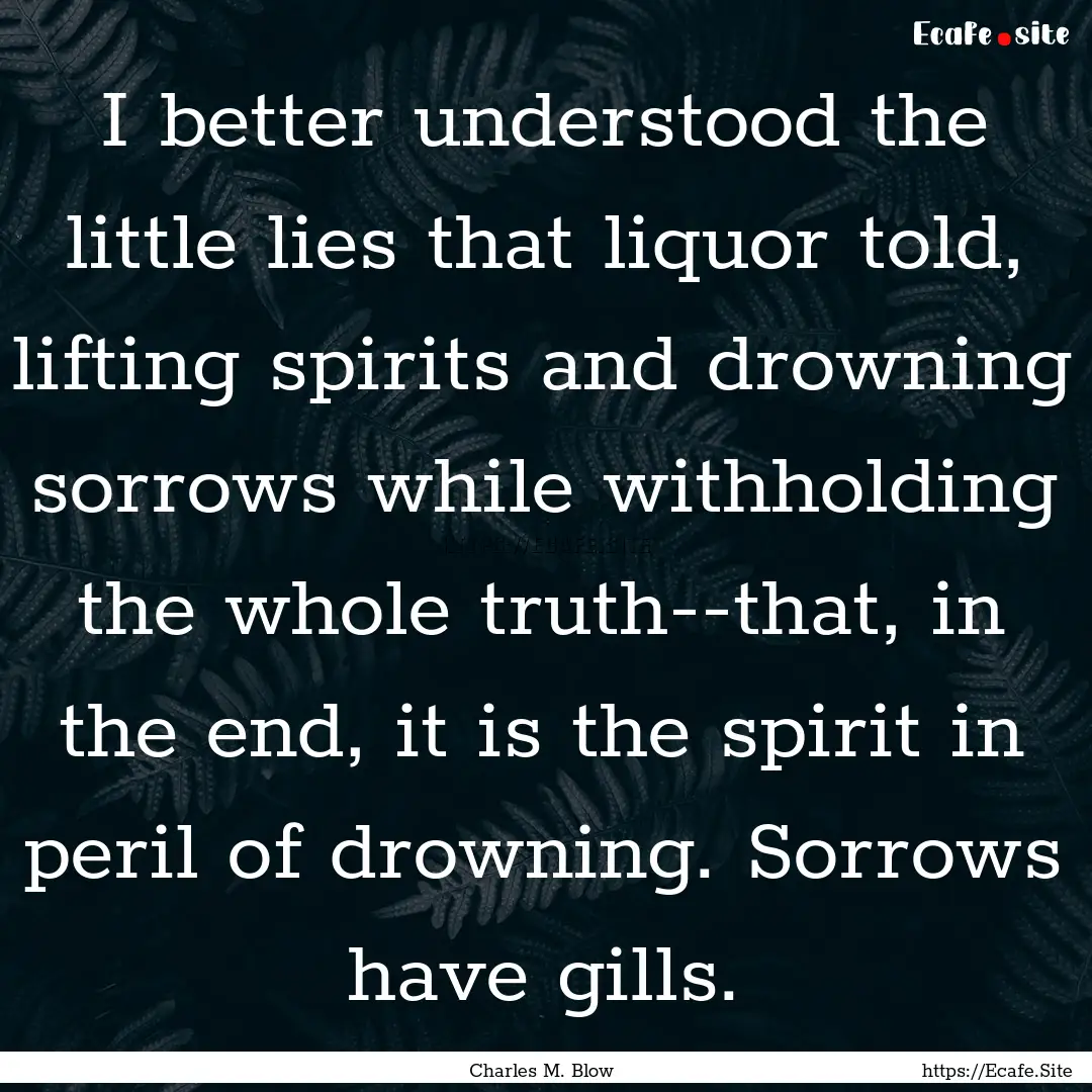 I better understood the little lies that.... : Quote by Charles M. Blow