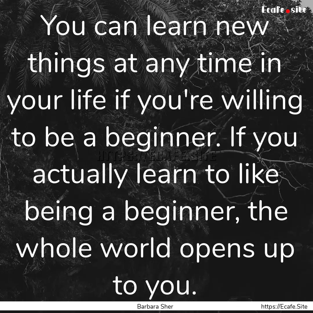 You can learn new things at any time in your.... : Quote by Barbara Sher