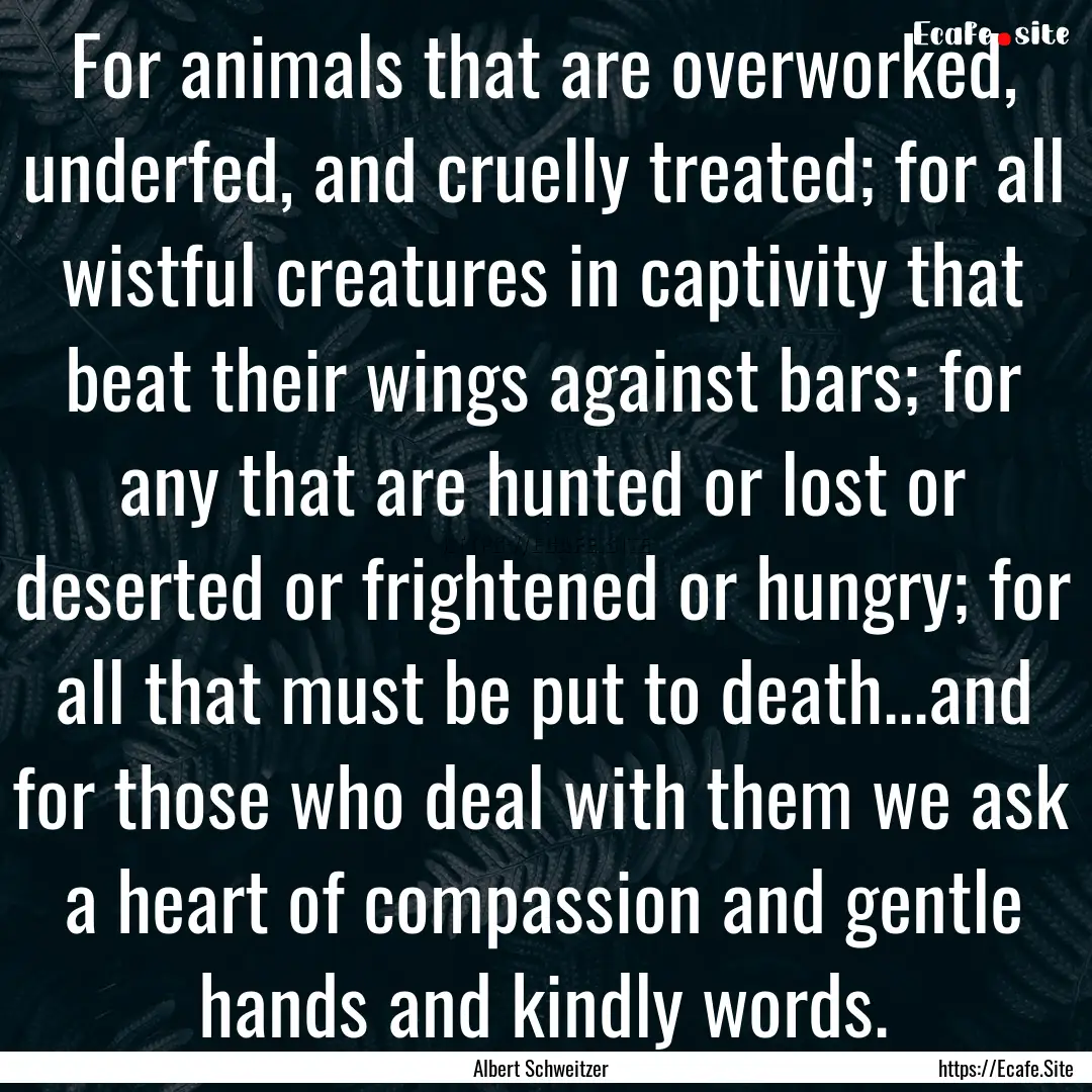 For animals that are overworked, underfed,.... : Quote by Albert Schweitzer