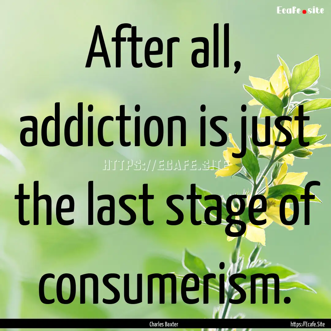 After all, addiction is just the last stage.... : Quote by Charles Baxter