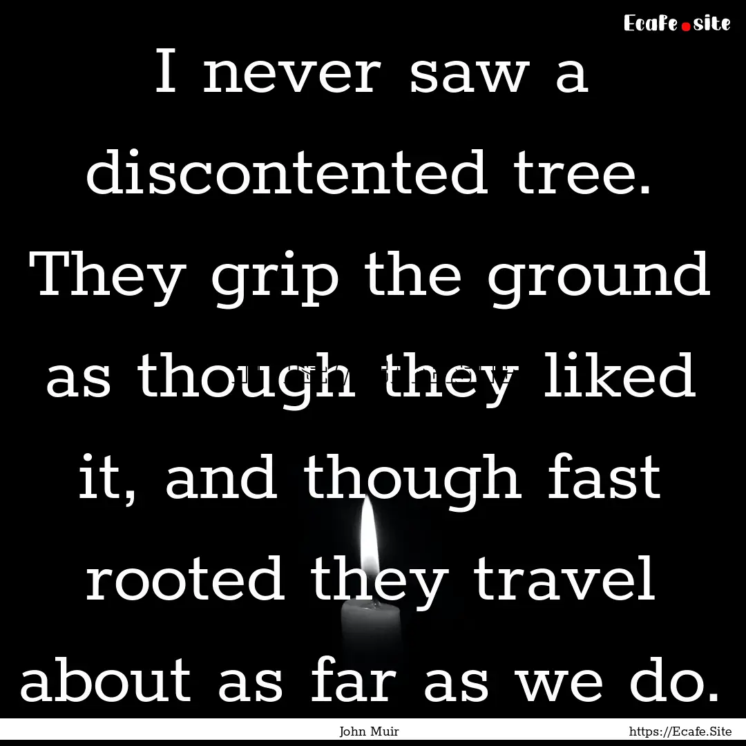 I never saw a discontented tree. They grip.... : Quote by John Muir