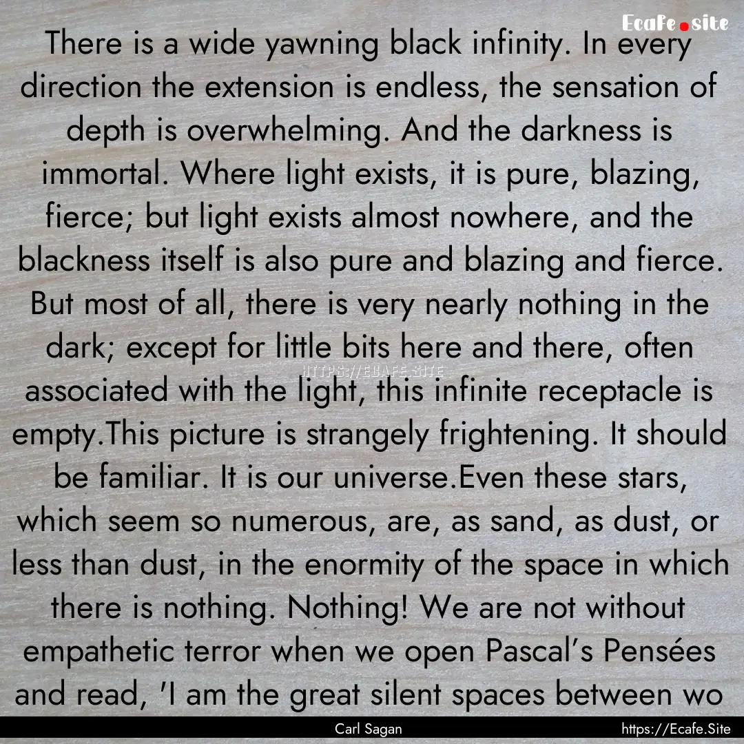 There is a wide yawning black infinity. In.... : Quote by Carl Sagan