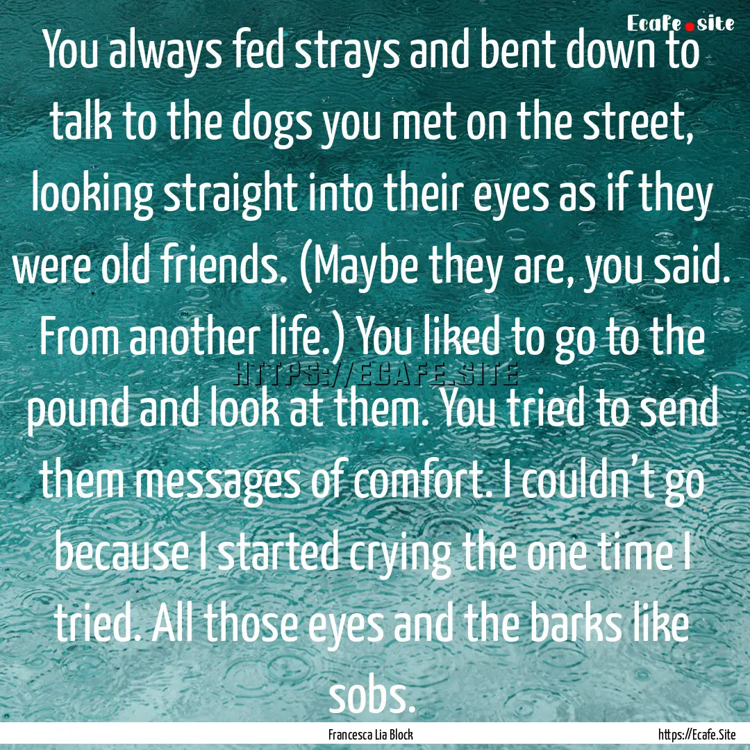 You always fed strays and bent down to talk.... : Quote by Francesca Lia Block