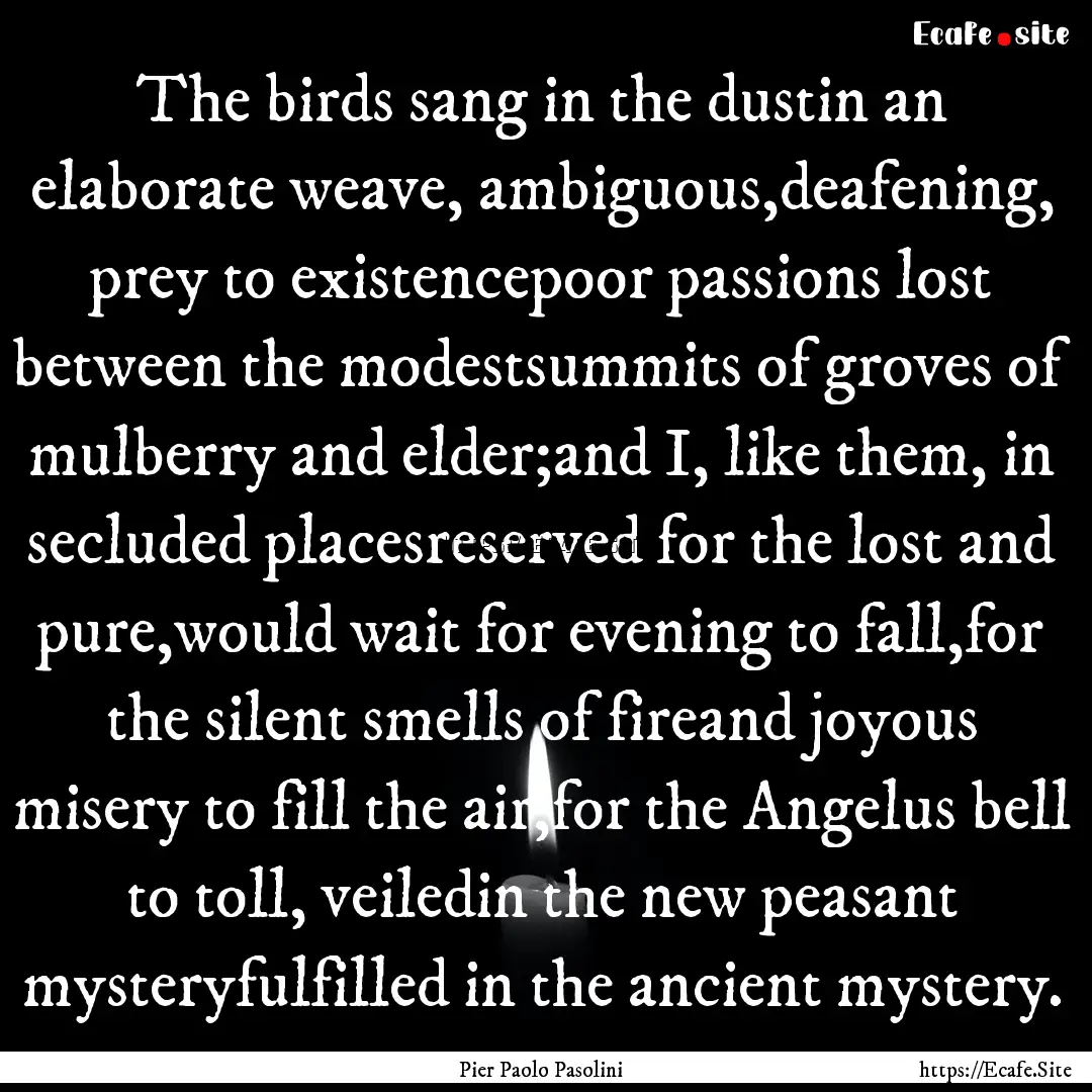 The birds sang in the dustin an elaborate.... : Quote by Pier Paolo Pasolini