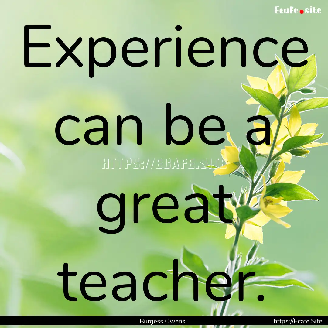 Experience can be a great teacher. : Quote by Burgess Owens