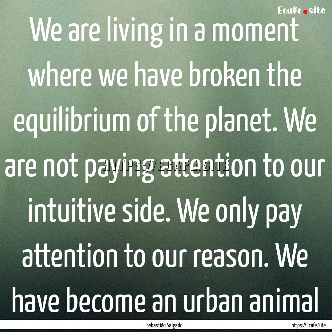 We are living in a moment where we have broken.... : Quote by Sebastião Salgado