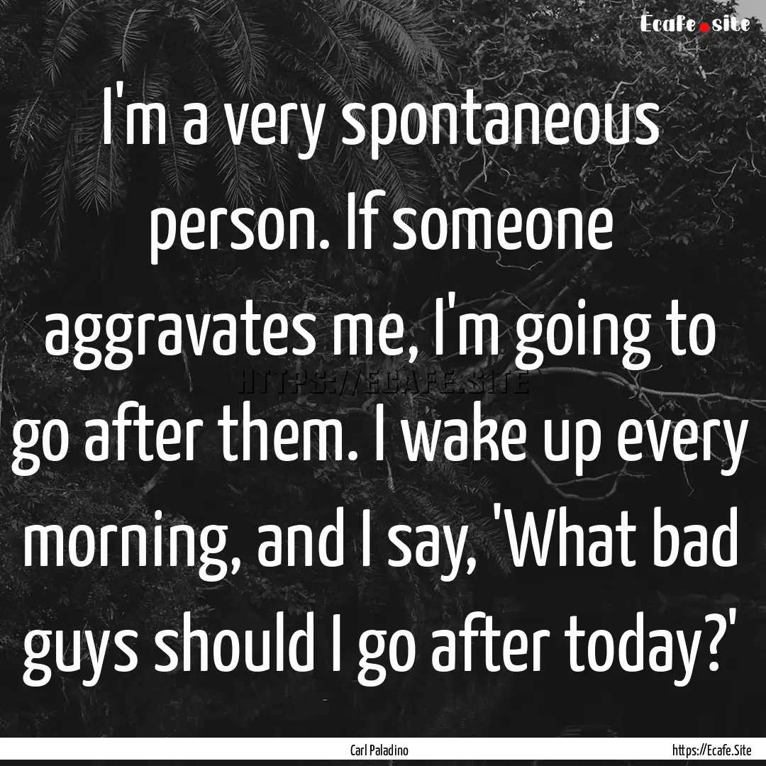 I'm a very spontaneous person. If someone.... : Quote by Carl Paladino