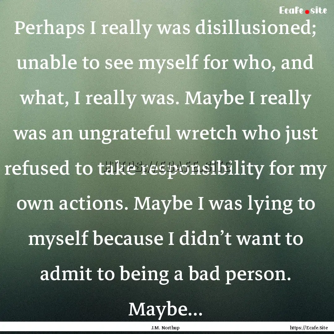 Perhaps I really was disillusioned; unable.... : Quote by J.M. Northup