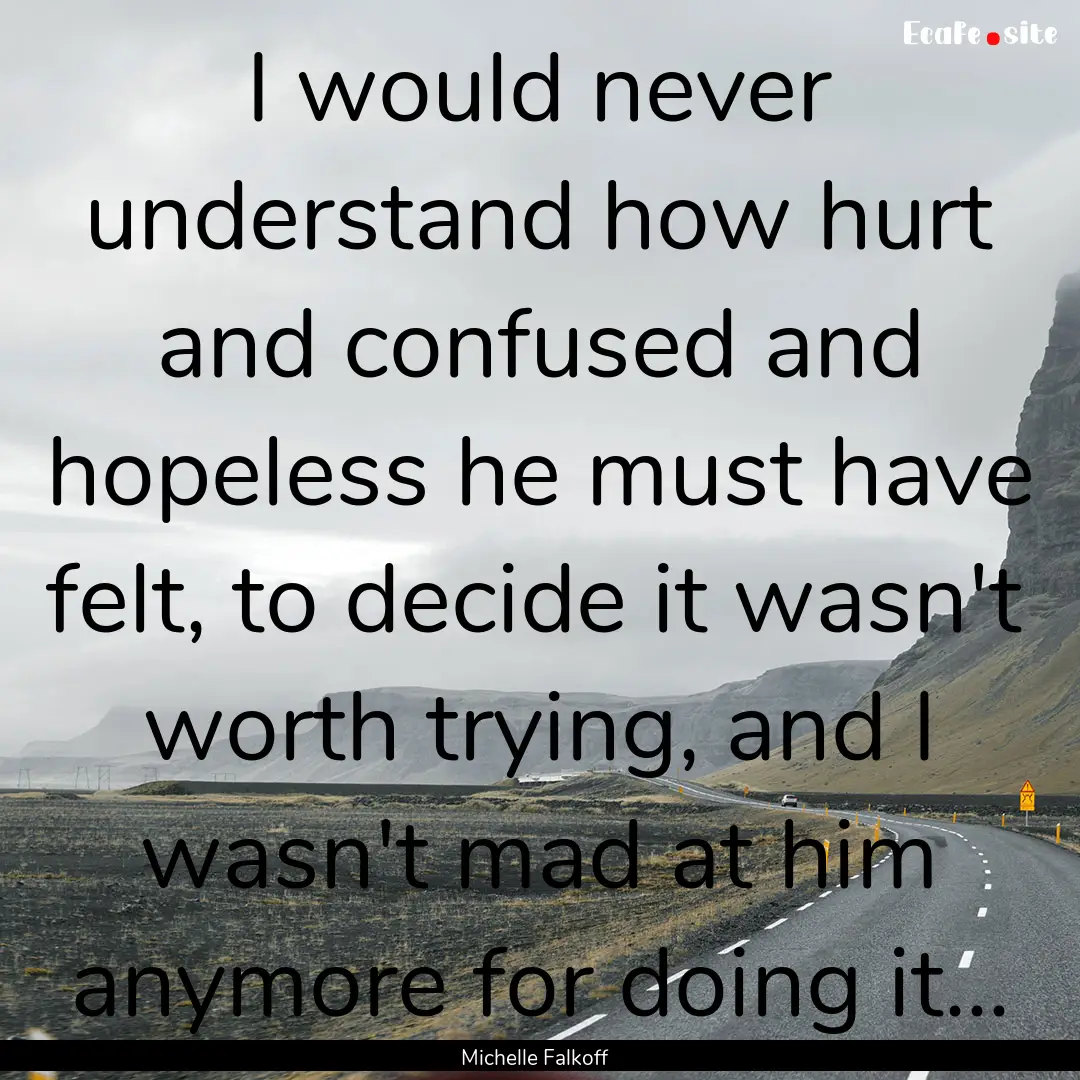 I would never understand how hurt and confused.... : Quote by Michelle Falkoff