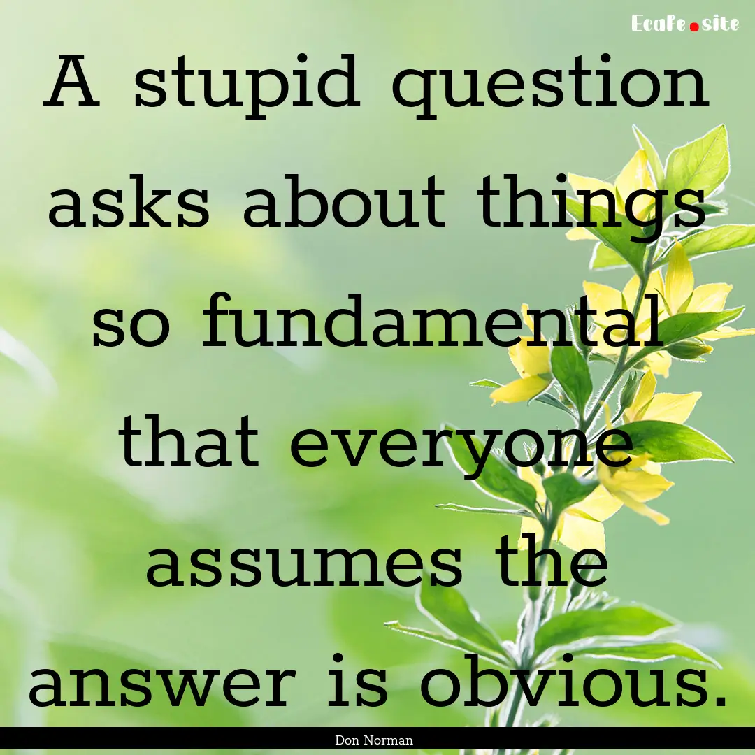 A stupid question asks about things so fundamental.... : Quote by Don Norman