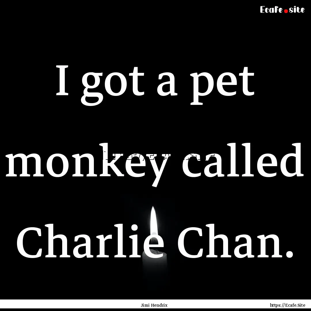 I got a pet monkey called Charlie Chan. : Quote by Jimi Hendrix