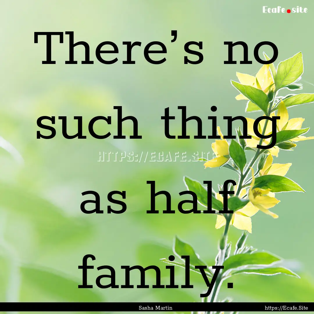 There’s no such thing as half family. : Quote by Sasha Martin