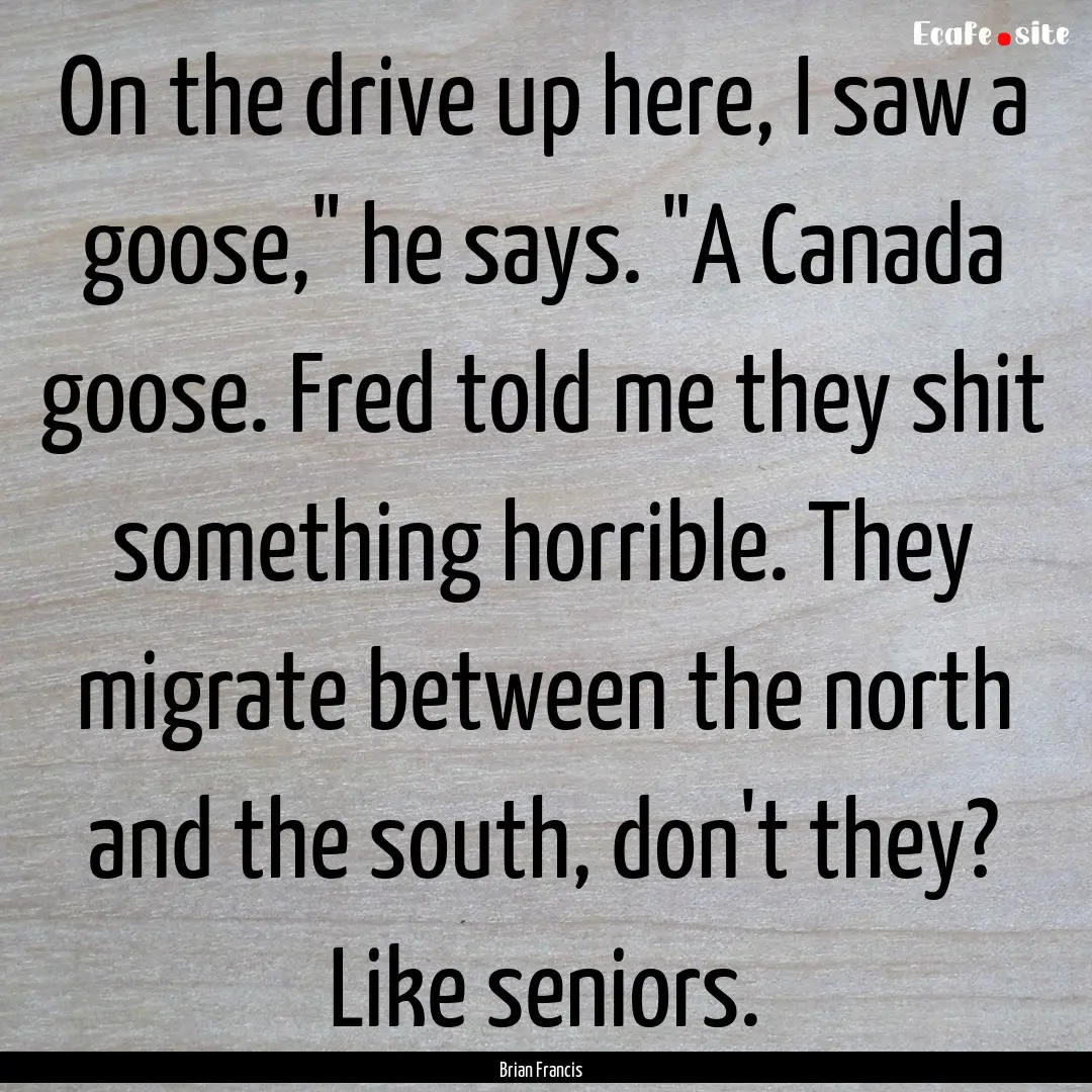 On the drive up here, I saw a goose,